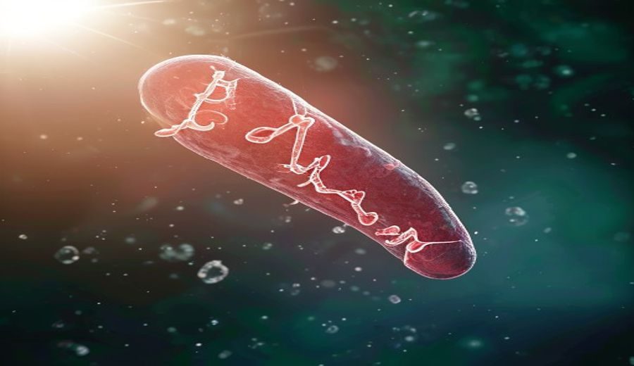 CRISPR Targets Prostate Cancer